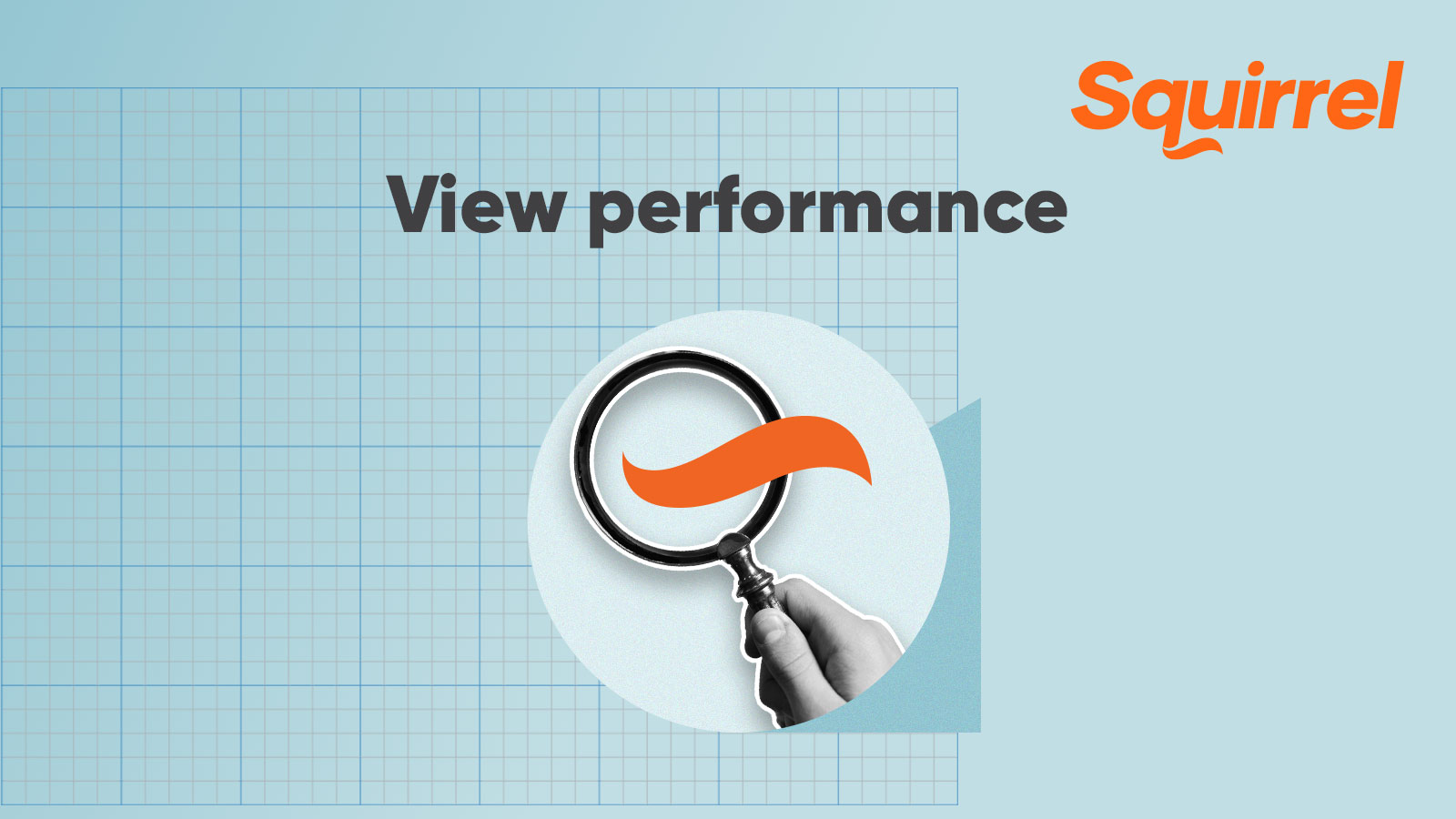 View Performance | Squirrel